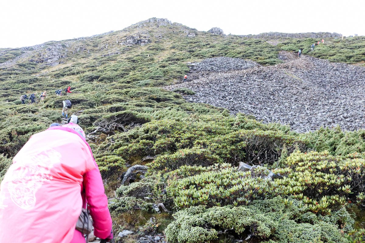 雪山三天兩夜 台灣第二高峰雪山黑森林圈谷好美碎石坡我也甘願