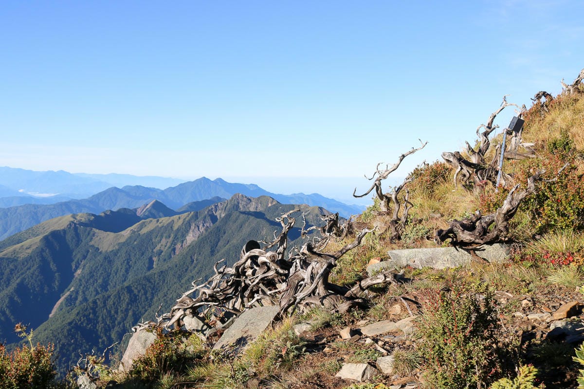 雪山三天兩夜 台灣第二高峰雪山黑森林圈谷好美碎石坡我也甘願