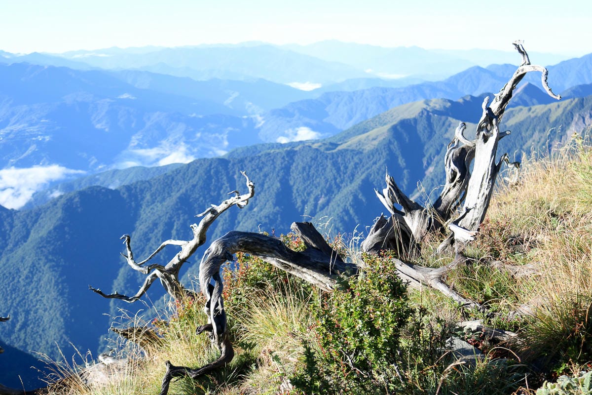 雪山三天兩夜 台灣第二高峰雪山黑森林圈谷好美碎石坡我也甘願