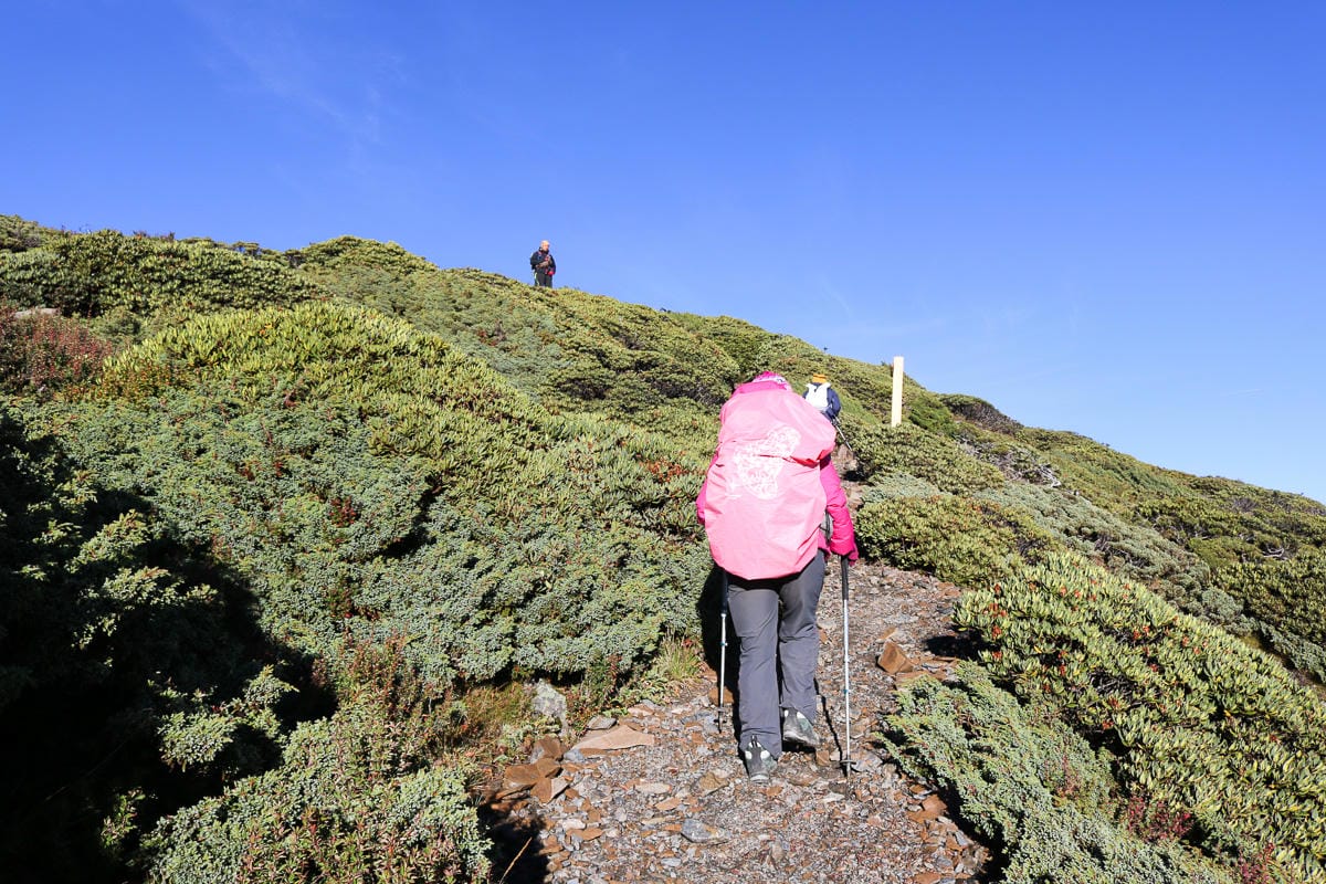雪山三天兩夜 台灣第二高峰雪山黑森林圈谷好美碎石坡我也甘願