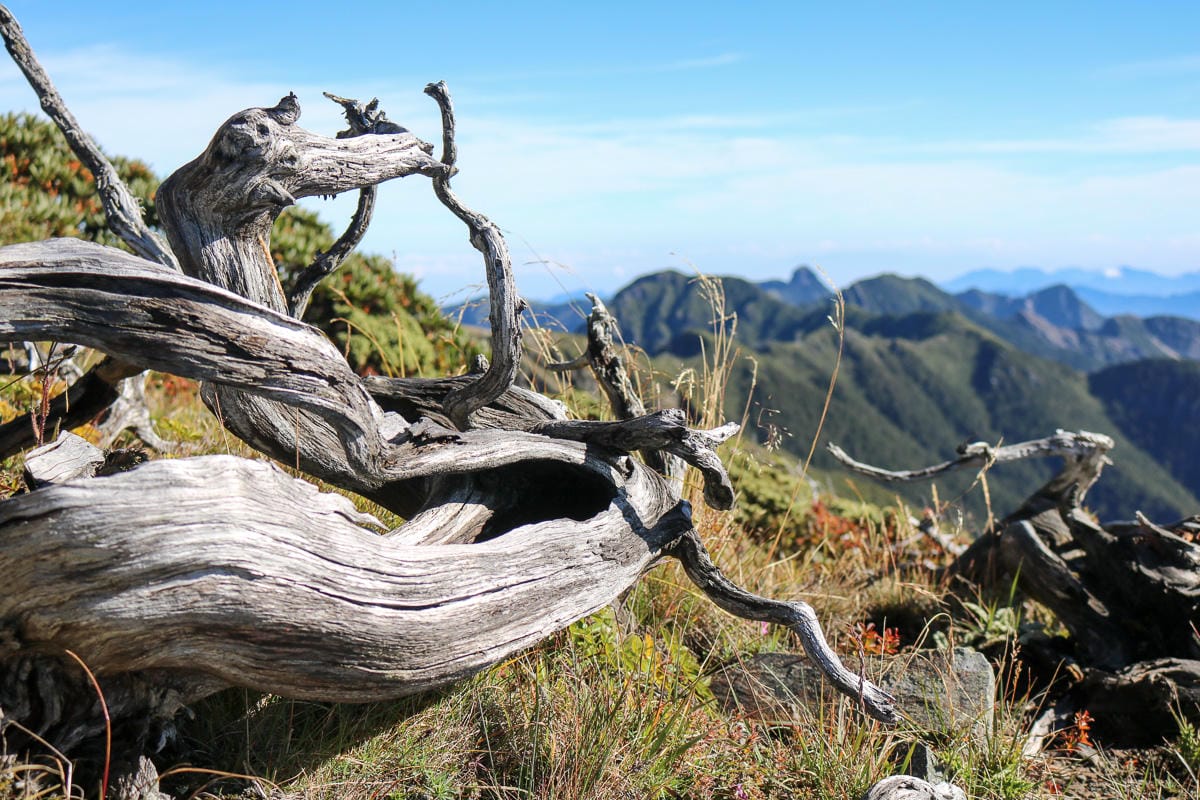 雪山三天兩夜 台灣第二高峰雪山黑森林圈谷好美碎石坡我也甘願