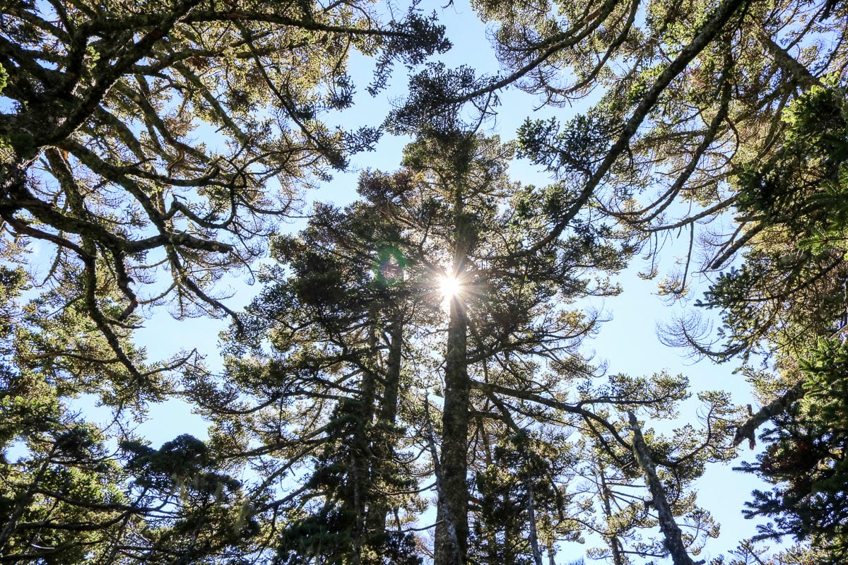 雪山三天兩夜 台灣第二高峰雪山黑森林圈谷好美碎石坡我也甘願