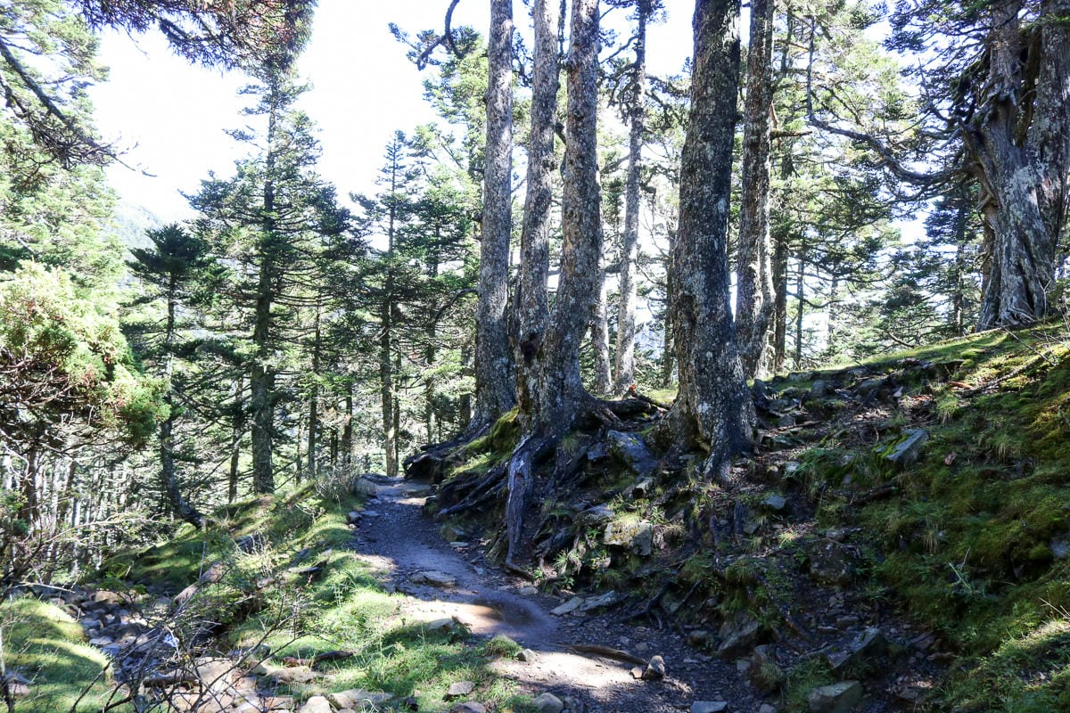 雪山三天兩夜 台灣第二高峰雪山黑森林圈谷好美碎石坡我也甘願