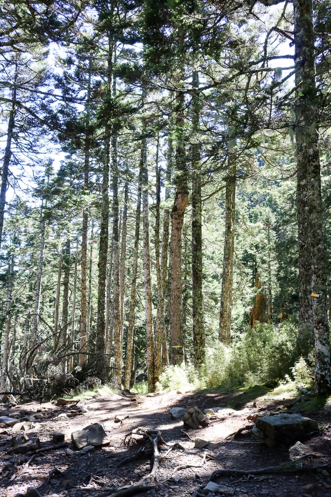 雪山三天兩夜 台灣第二高峰雪山黑森林圈谷好美碎石坡我也甘願