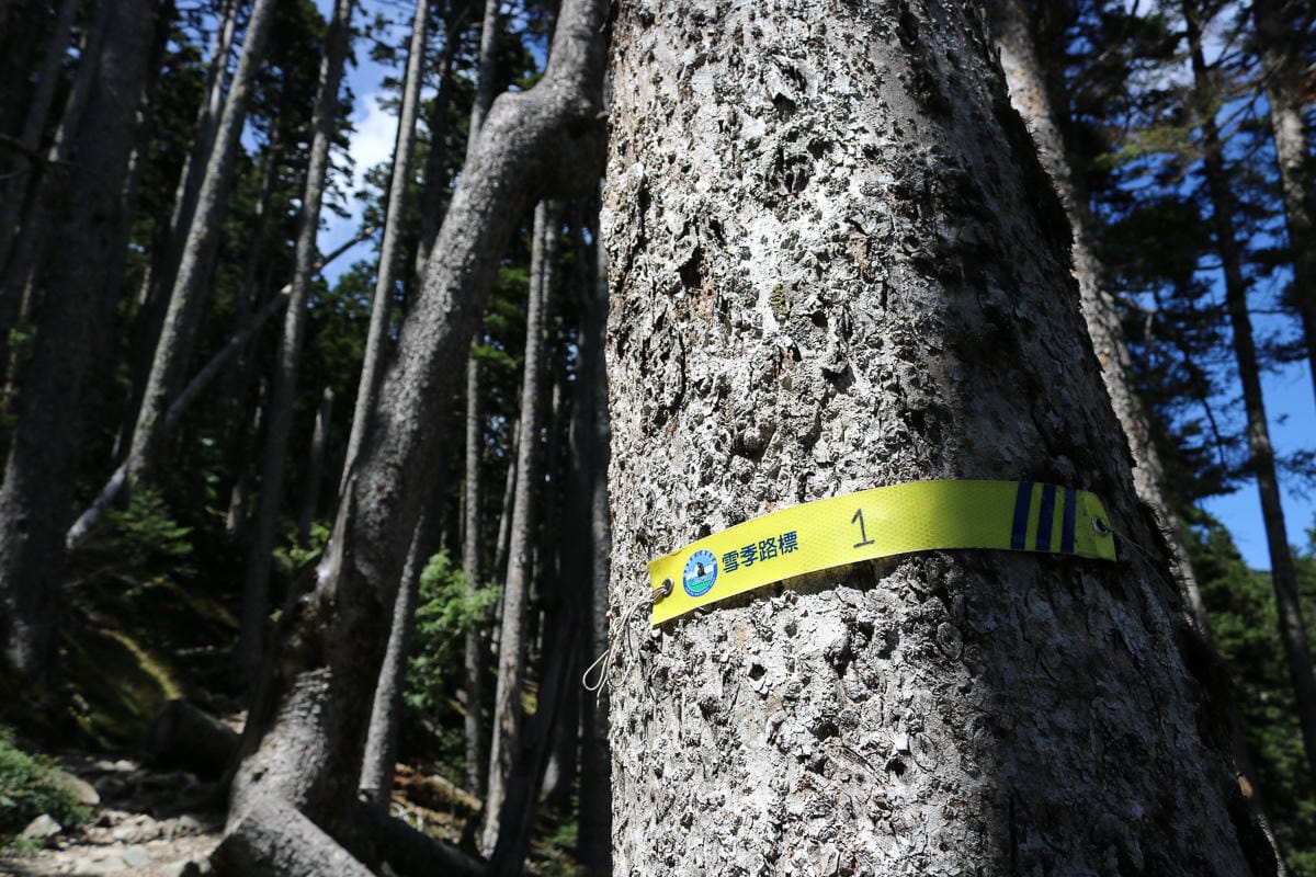 雪山三天兩夜 台灣第二高峰雪山黑森林圈谷好美碎石坡我也甘願