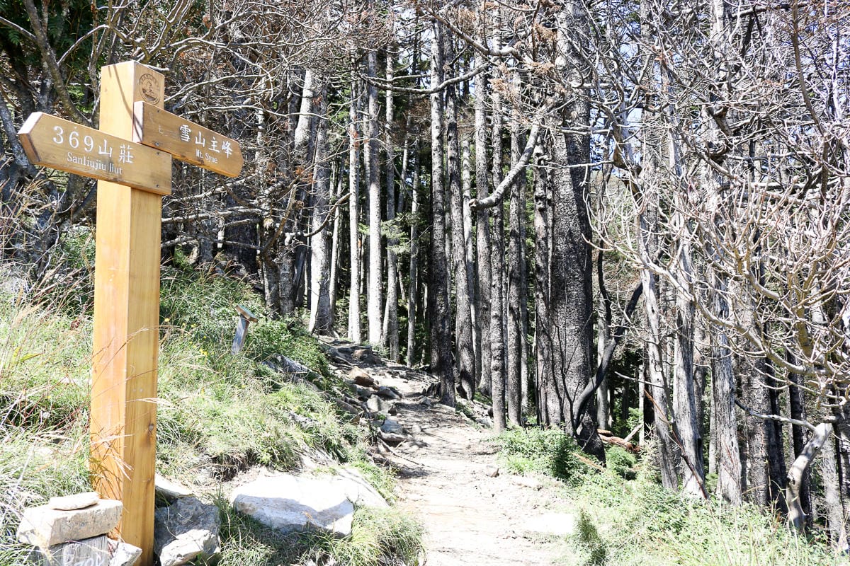 雪山三天兩夜 台灣第二高峰雪山黑森林圈谷好美碎石坡我也甘願