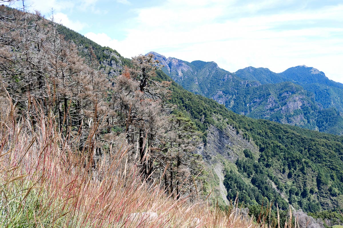 雪山三天兩夜 台灣第二高峰雪山黑森林圈谷好美碎石坡我也甘願
