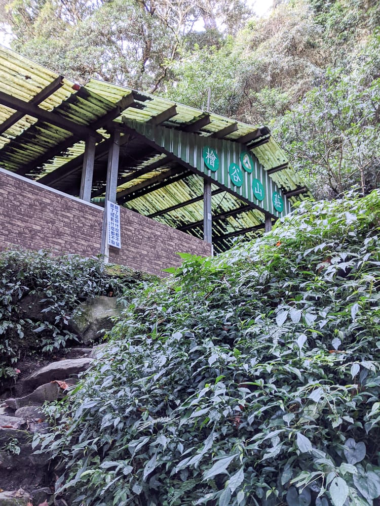 北大武山天氣說變就變 三天兩夜南部唯一冬天推薦百岳 沒想到屏東好冷 - 第31張圖 北大武山天氣說變就變 三天兩夜南部唯一冬天推薦百岳 沒想到屏東好冷