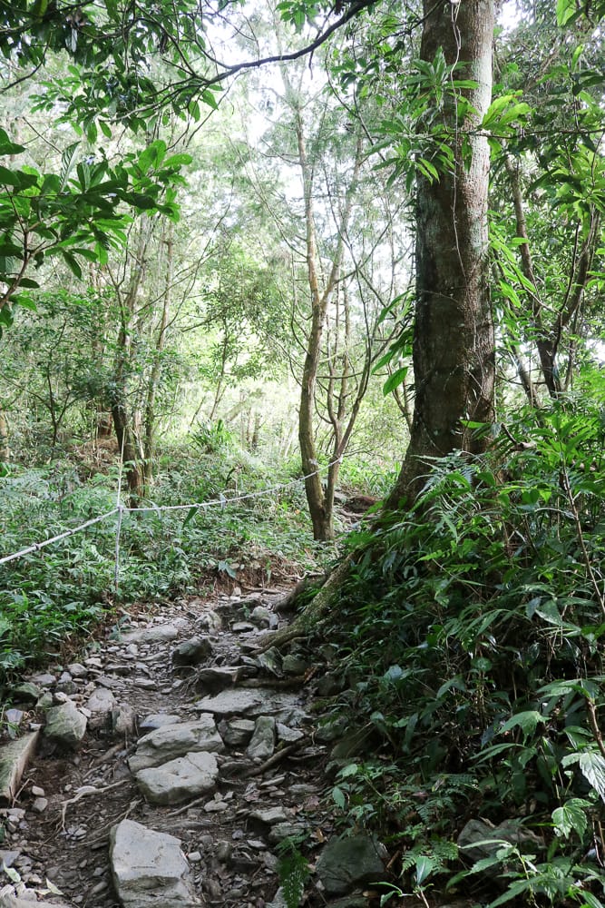 北大武山天氣說變就變 三天兩夜南部唯一冬天推薦百岳 沒想到屏東好冷 - 第4張圖 北大武山天氣說變就變 三天兩夜南部唯一冬天推薦百岳 沒想到屏東好冷