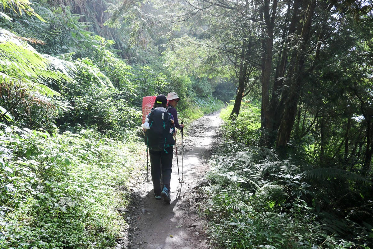 北大武山天氣說變就變 三天兩夜南部唯一冬天推薦百岳 沒想到屏東好冷 - 第7張圖 北大武山天氣說變就變 三天兩夜南部唯一冬天推薦百岳 沒想到屏東好冷