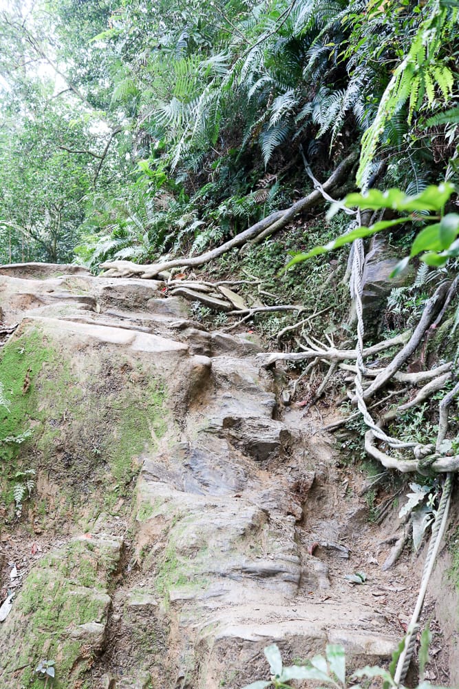 北大武山天氣說變就變 三天兩夜南部唯一冬天推薦百岳 沒想到屏東好冷 - 第10張圖 北大武山天氣說變就變 三天兩夜南部唯一冬天推薦百岳 沒想到屏東好冷