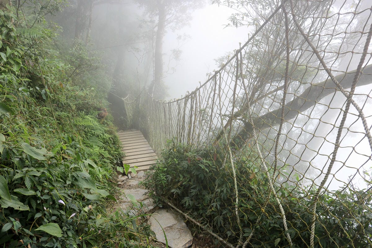 北大武山天氣說變就變 三天兩夜南部唯一冬天推薦百岳 沒想到屏東好冷 - 第12張圖 北大武山天氣說變就變 三天兩夜南部唯一冬天推薦百岳 沒想到屏東好冷