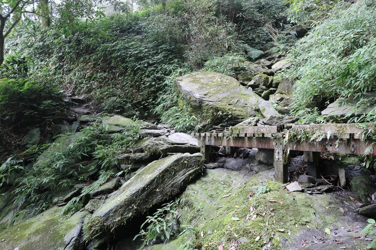 北大武山天氣說變就變 三天兩夜南部唯一冬天推薦百岳 沒想到屏東好冷 - 第14張圖 北大武山天氣說變就變 三天兩夜南部唯一冬天推薦百岳 沒想到屏東好冷
