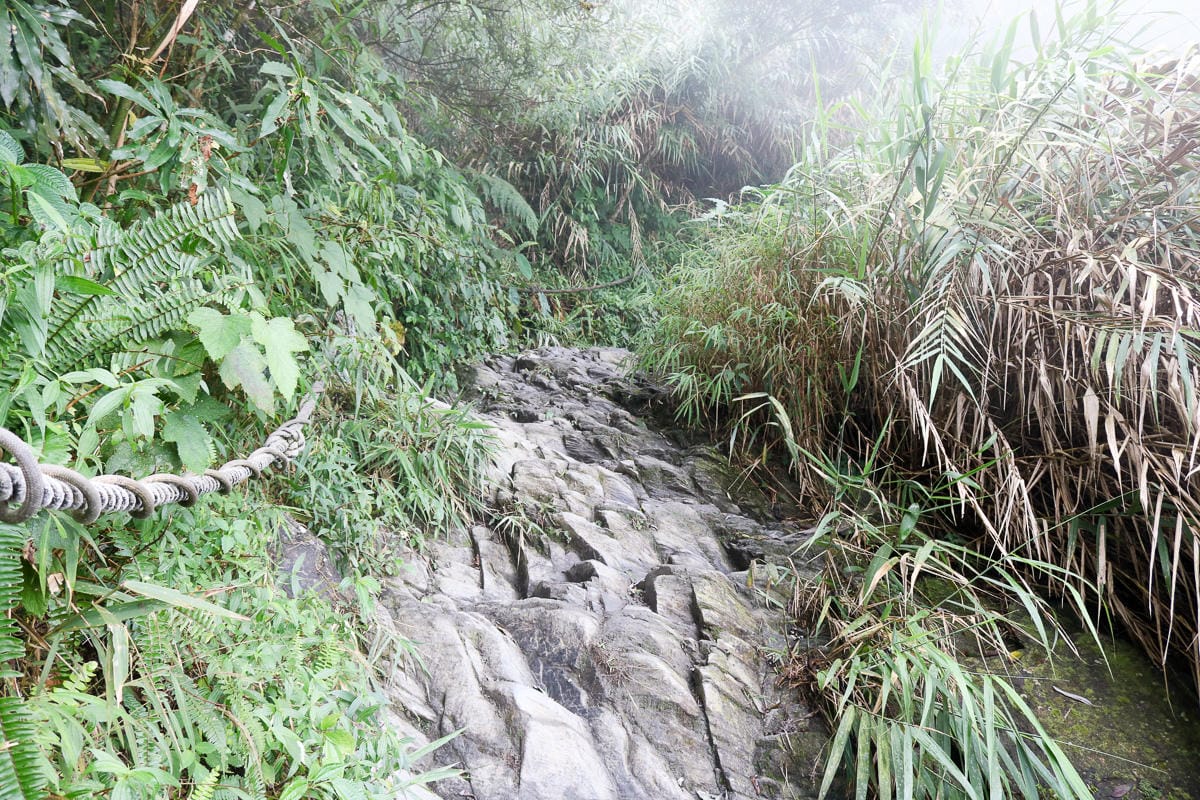 北大武山天氣說變就變 三天兩夜南部唯一冬天推薦百岳 沒想到屏東好冷 - 第15張圖 北大武山天氣說變就變 三天兩夜南部唯一冬天推薦百岳 沒想到屏東好冷