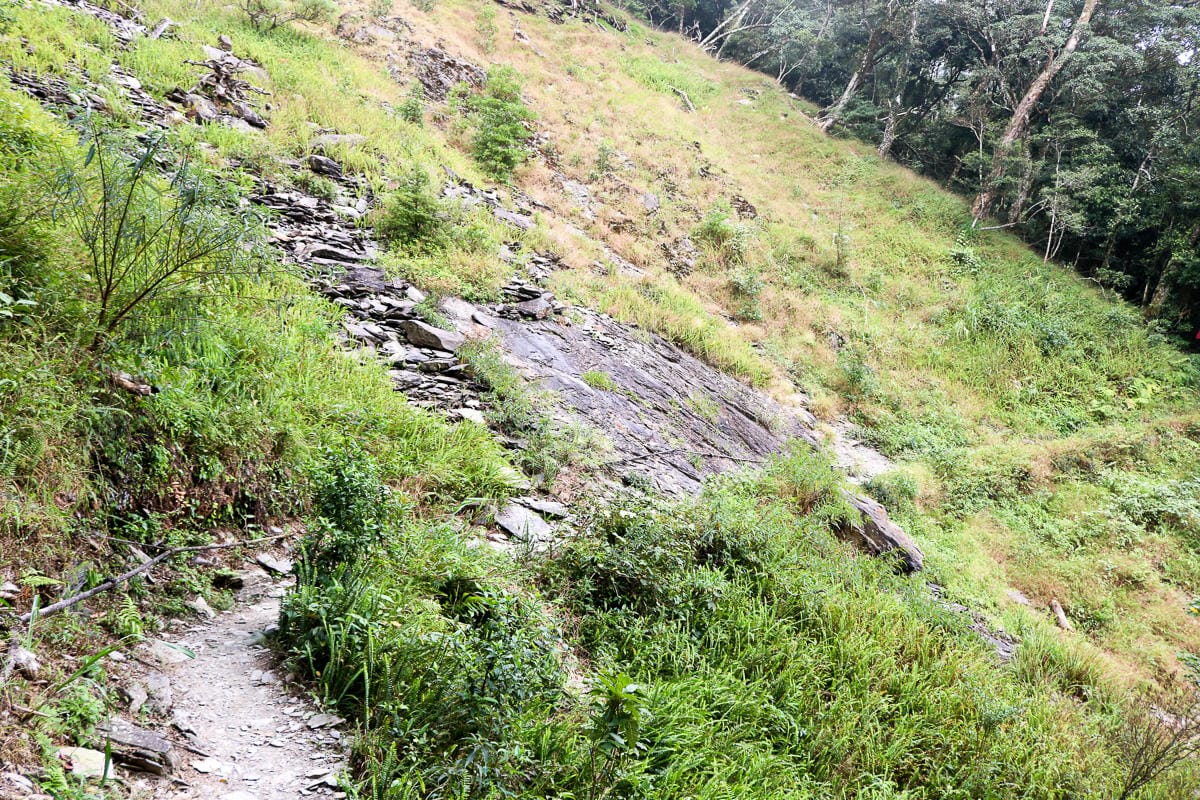 北大武山天氣說變就變 三天兩夜南部唯一冬天推薦百岳 沒想到屏東好冷 - 第16張圖 北大武山天氣說變就變 三天兩夜南部唯一冬天推薦百岳 沒想到屏東好冷