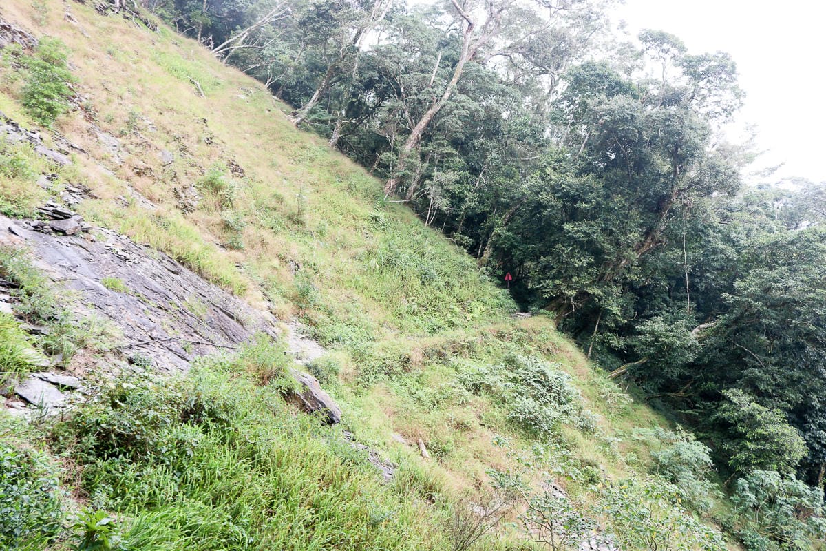 北大武山天氣說變就變 三天兩夜南部唯一冬天推薦百岳 沒想到屏東好冷 - 第17張圖 北大武山天氣說變就變 三天兩夜南部唯一冬天推薦百岳 沒想到屏東好冷