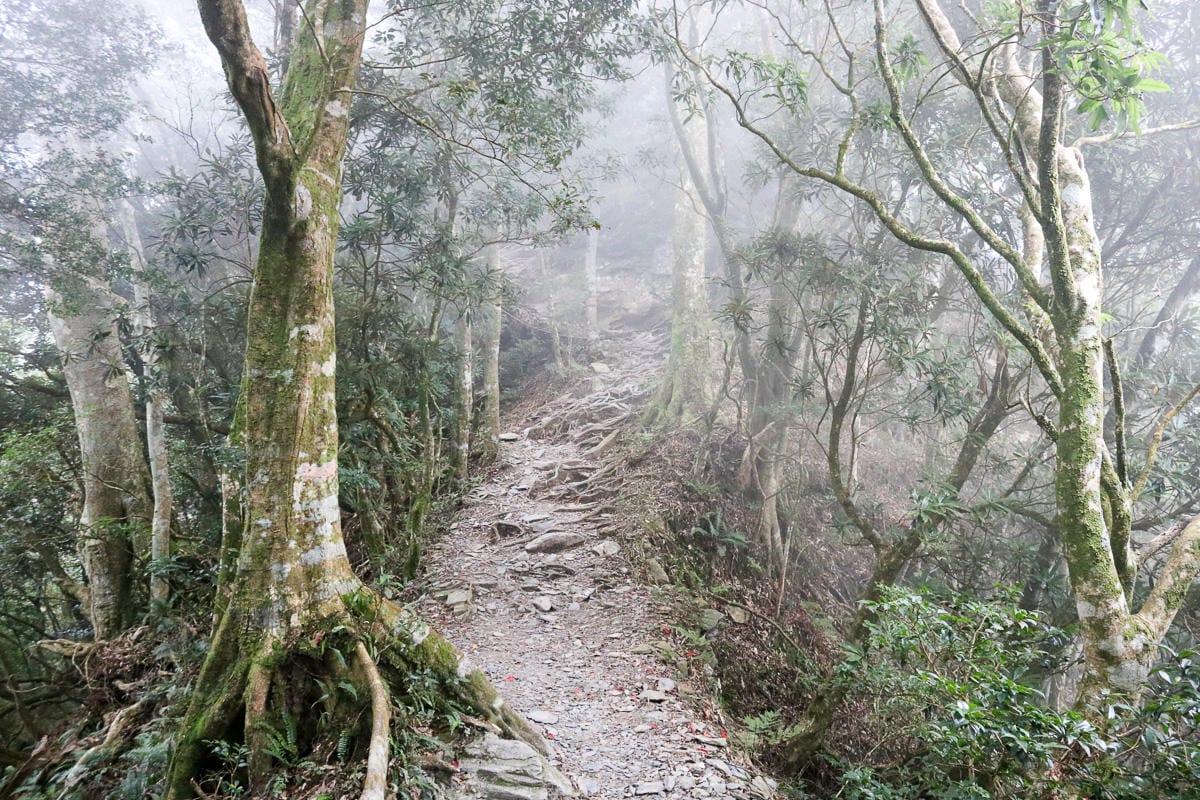北大武山天氣說變就變 三天兩夜南部唯一冬天推薦百岳 沒想到屏東好冷 - 第22張圖 北大武山天氣說變就變 三天兩夜南部唯一冬天推薦百岳 沒想到屏東好冷