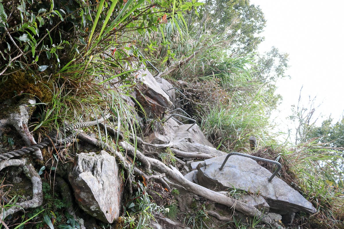 北大武山天氣說變就變 三天兩夜南部唯一冬天推薦百岳 沒想到屏東好冷 - 第24張圖 北大武山天氣說變就變 三天兩夜南部唯一冬天推薦百岳 沒想到屏東好冷