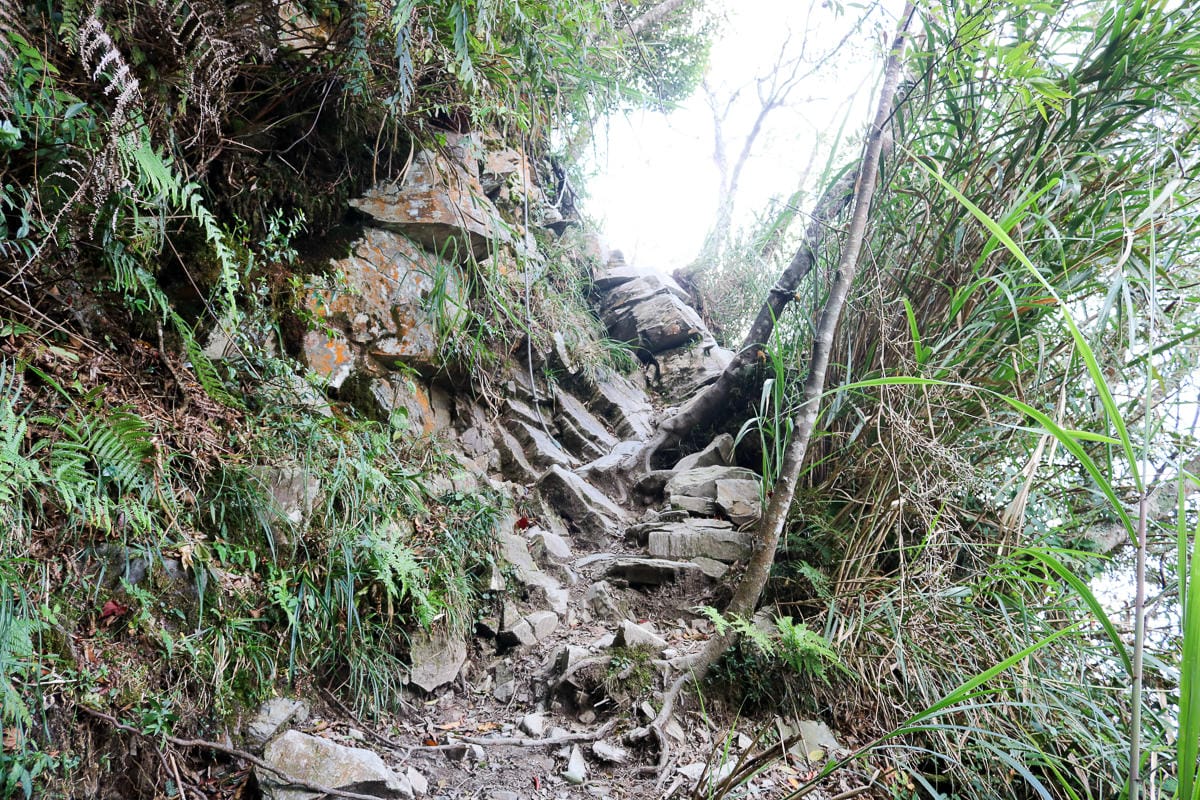 北大武山天氣說變就變 三天兩夜南部唯一冬天推薦百岳 沒想到屏東好冷 - 第25張圖 北大武山天氣說變就變 三天兩夜南部唯一冬天推薦百岳 沒想到屏東好冷