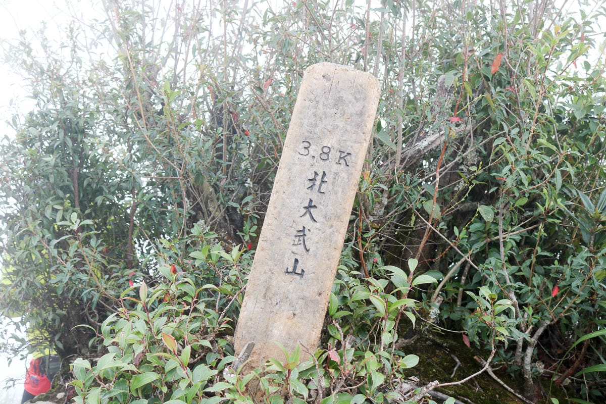 北大武山天氣說變就變 三天兩夜南部唯一冬天推薦百岳 沒想到屏東好冷 - 第27張圖 北大武山天氣說變就變 三天兩夜南部唯一冬天推薦百岳 沒想到屏東好冷