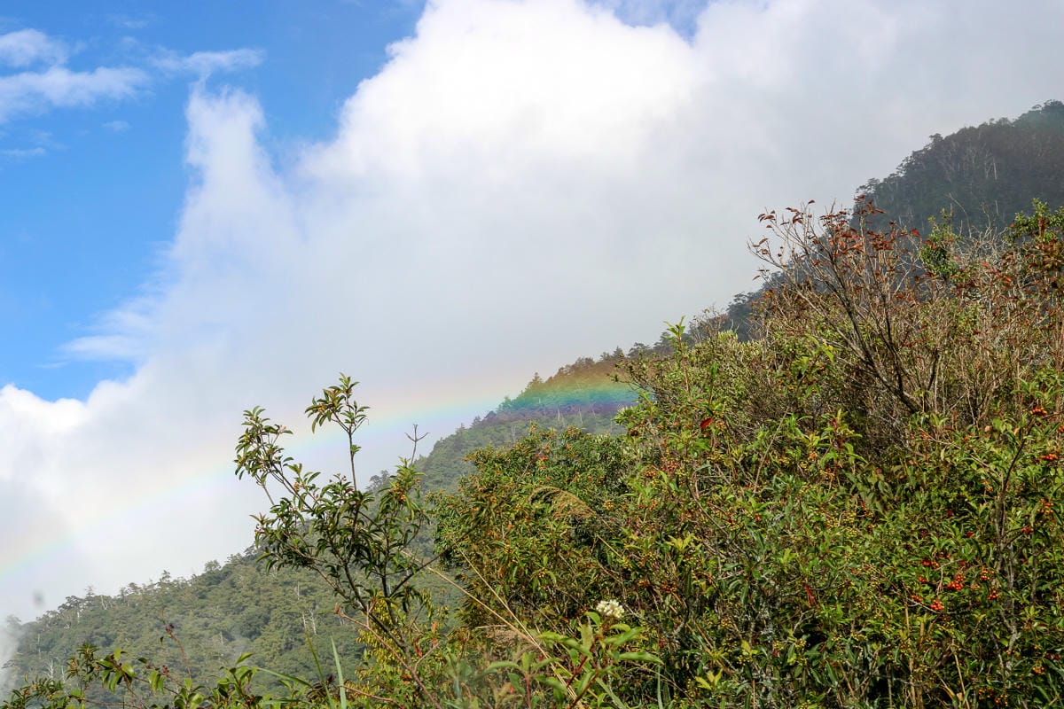 北大武山天氣說變就變 三天兩夜南部唯一冬天推薦百岳 沒想到屏東好冷 - 第28張圖 北大武山天氣說變就變 三天兩夜南部唯一冬天推薦百岳 沒想到屏東好冷