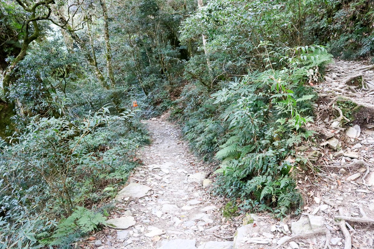 北大武山天氣說變就變 三天兩夜南部唯一冬天推薦百岳 沒想到屏東好冷 - 第30張圖 北大武山天氣說變就變 三天兩夜南部唯一冬天推薦百岳 沒想到屏東好冷