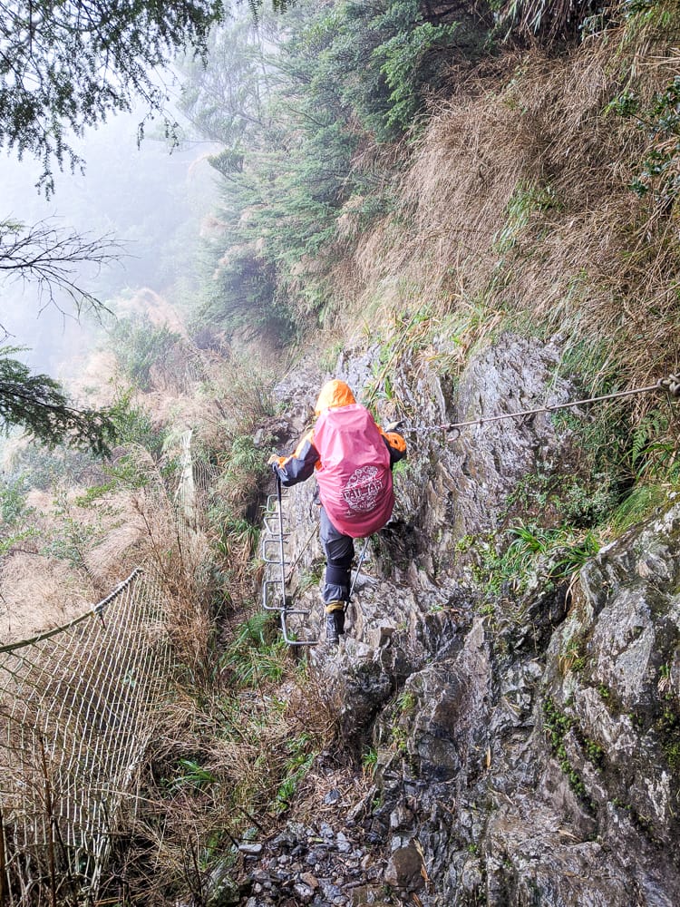 北大武山天氣說變就變 三天兩夜南部唯一冬天推薦百岳 沒想到屏東好冷 - 第36張圖 北大武山天氣說變就變 三天兩夜南部唯一冬天推薦百岳 沒想到屏東好冷