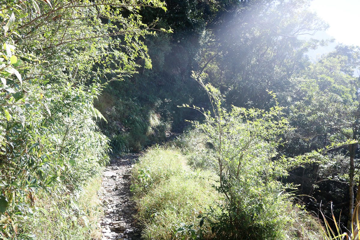 北大武山天氣說變就變 三天兩夜南部唯一冬天推薦百岳 沒想到屏東好冷 - 第41張圖 北大武山天氣說變就變 三天兩夜南部唯一冬天推薦百岳 沒想到屏東好冷