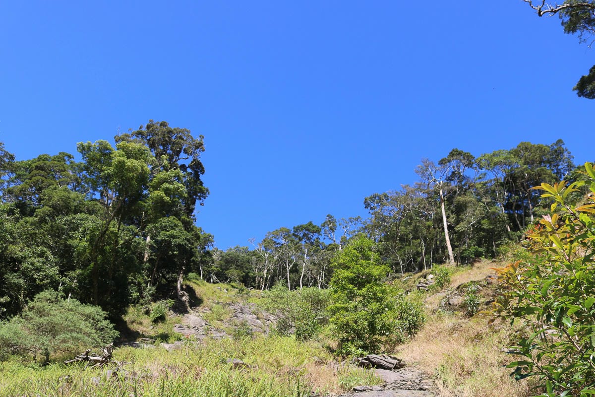 北大武山天氣說變就變 三天兩夜南部唯一冬天推薦百岳 沒想到屏東好冷 - 第45張圖 北大武山天氣說變就變 三天兩夜南部唯一冬天推薦百岳 沒想到屏東好冷