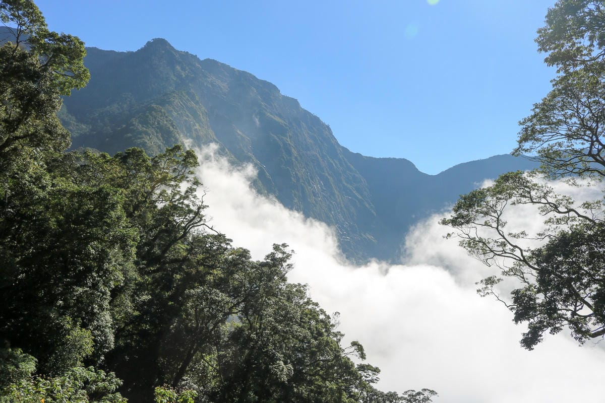 北大武山天氣說變就變 三天兩夜南部唯一冬天推薦百岳 沒想到屏東好冷 - 第48張圖 北大武山天氣說變就變 三天兩夜南部唯一冬天推薦百岳 沒想到屏東好冷