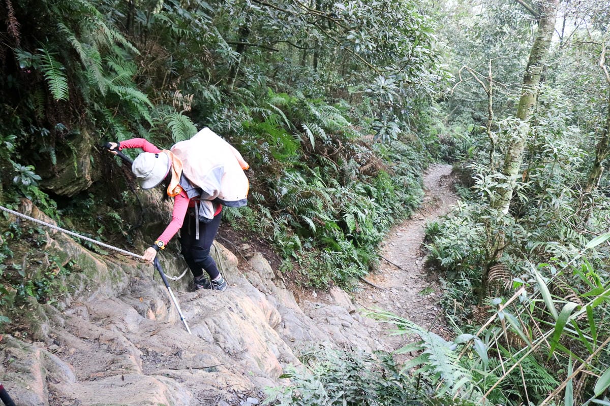 北大武山天氣說變就變 三天兩夜南部唯一冬天推薦百岳 沒想到屏東好冷 - 第53張圖 北大武山天氣說變就變 三天兩夜南部唯一冬天推薦百岳 沒想到屏東好冷
