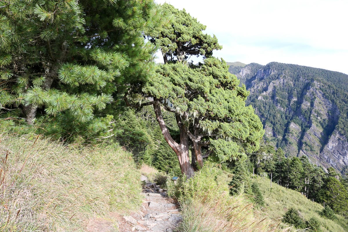 雪山主東第三天 三六九日出超級威 雪山翠池我們下次見