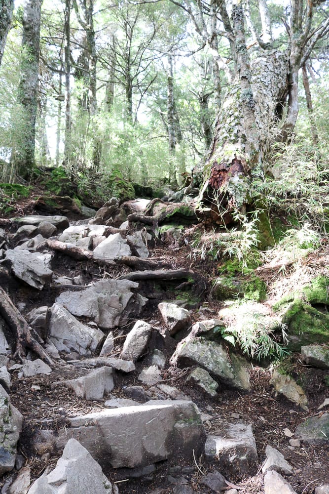 雪山主東第三天 三六九日出超級威 雪山翠池我們下次見