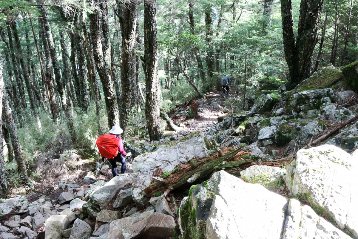 雪山主東第三天 三六九日出超級威 雪山翠池我們下次見