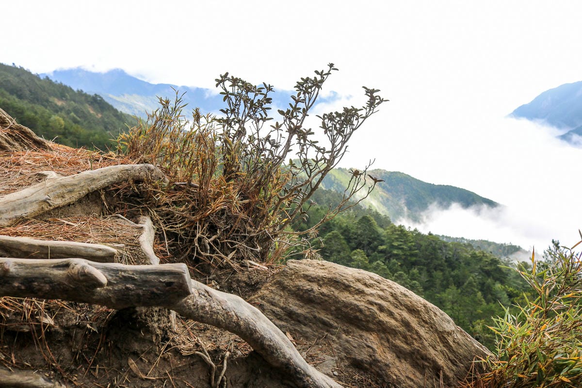 冬天合歡山天氣 強風難度合歡北峰與石門山 真心要有所準備