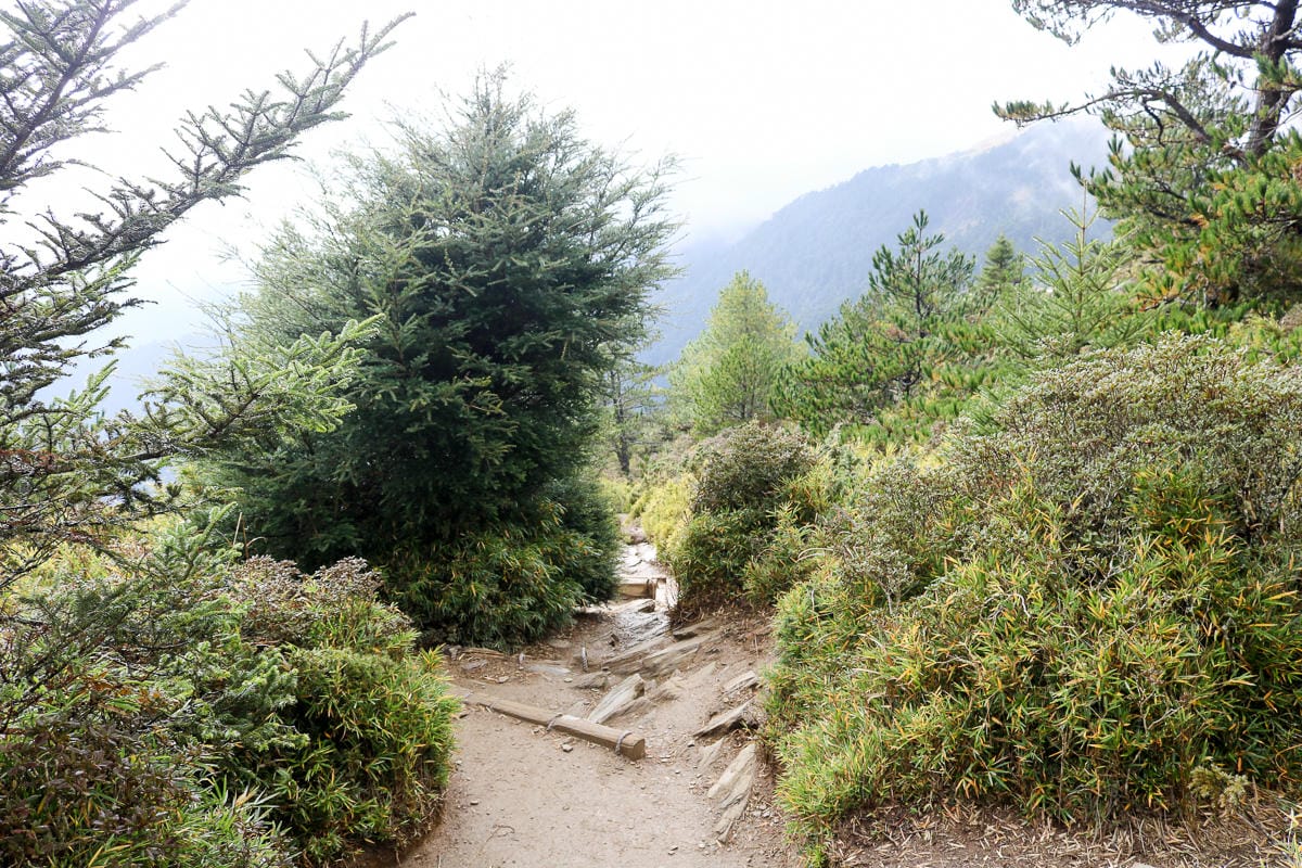 冬天合歡山天氣 強風難度合歡北峰與石門山 真心要有所準備