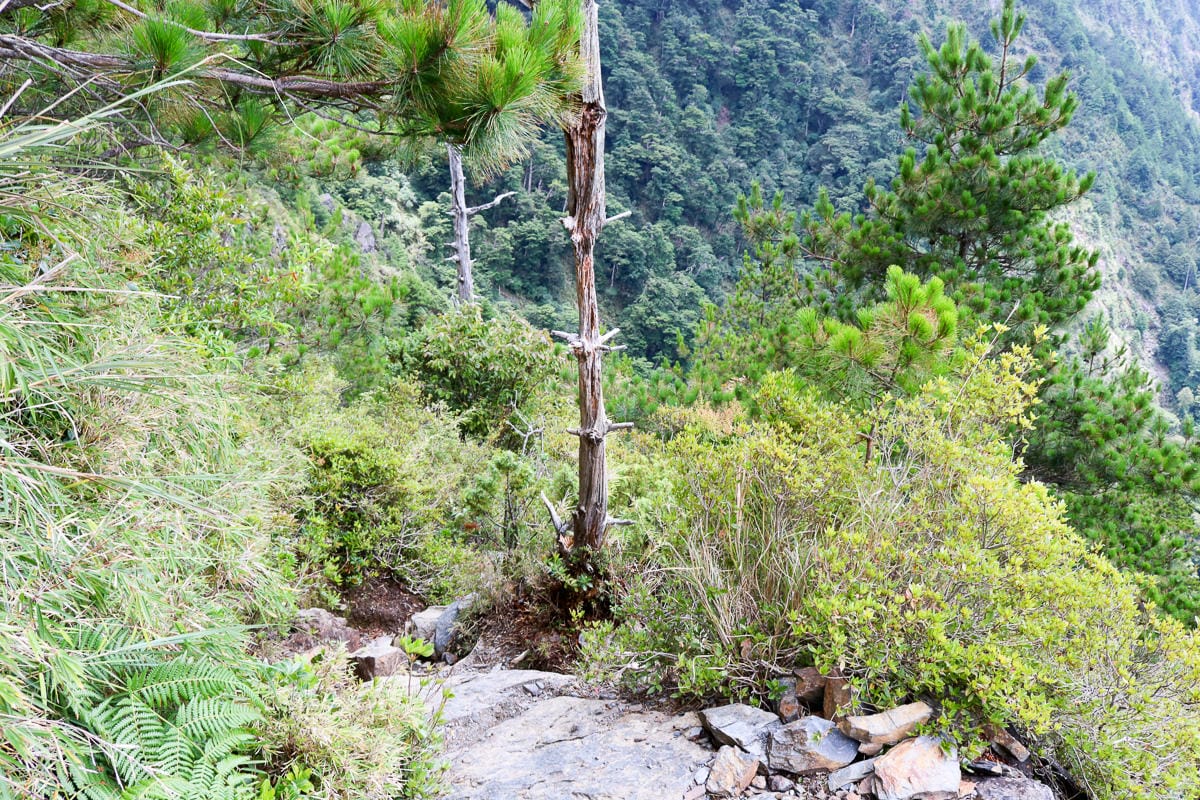 一生只爬這次 玉山前峰單攻感想 無敵厭世石瀑是噩夢不是百岳新手入門