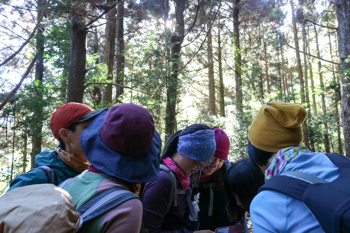 苗栗加里山 大坪登山口上加里山走杜鵑嶺下感想怎麼這麼遠啊