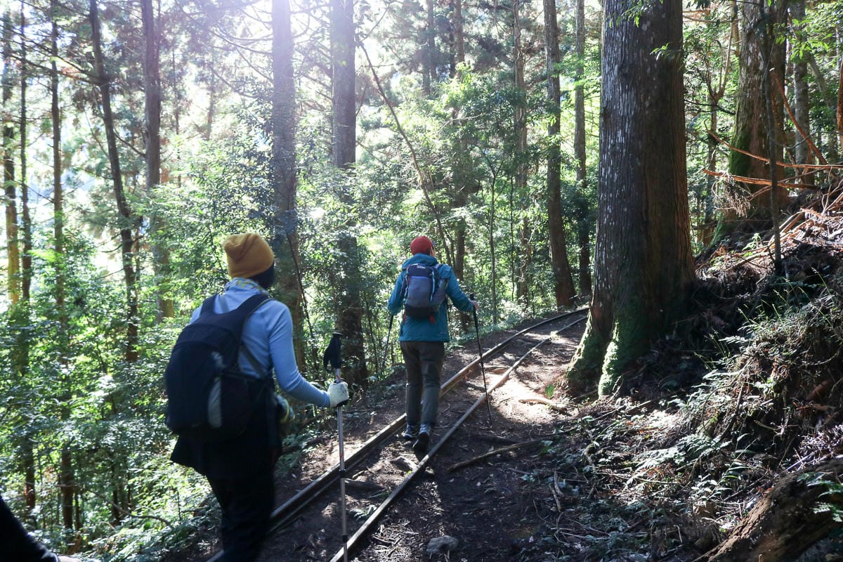 苗栗加里山 大坪登山口上加里山走杜鵑嶺下感想怎麼這麼遠啊