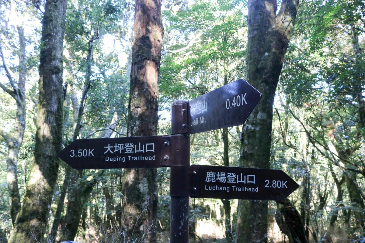 苗栗加里山 大坪登山口上加里山走杜鵑嶺下感想怎麼這麼遠啊