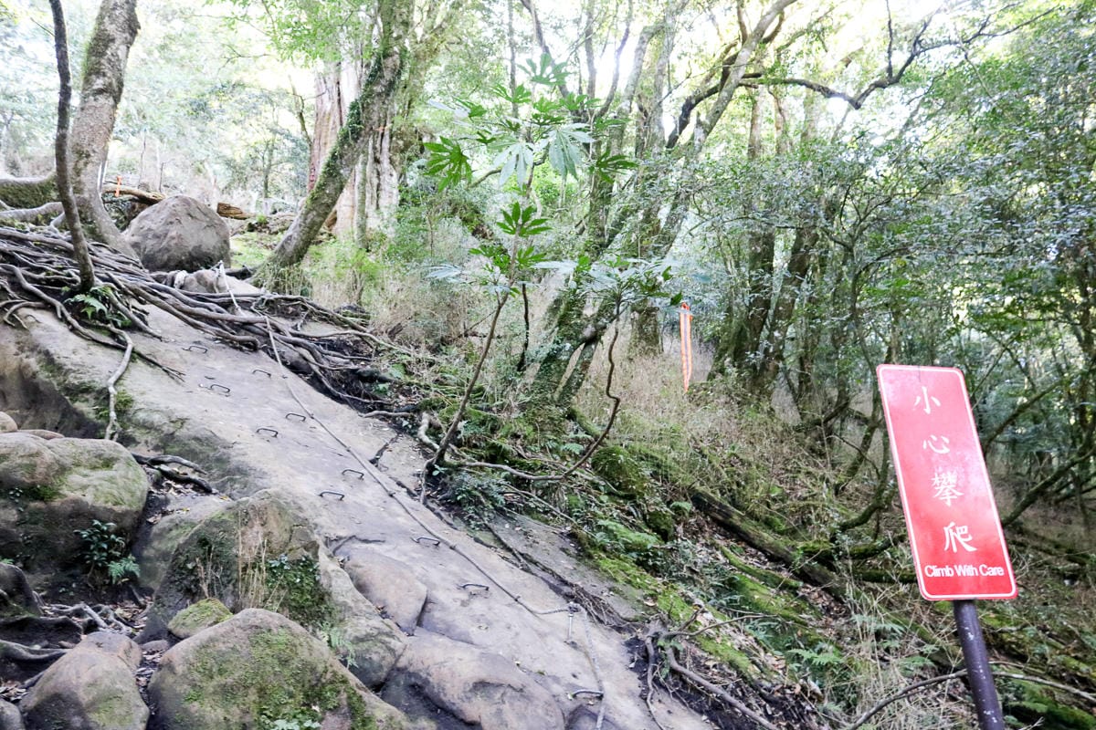 苗栗加里山 大坪登山口上加里山走杜鵑嶺下感想怎麼這麼遠啊