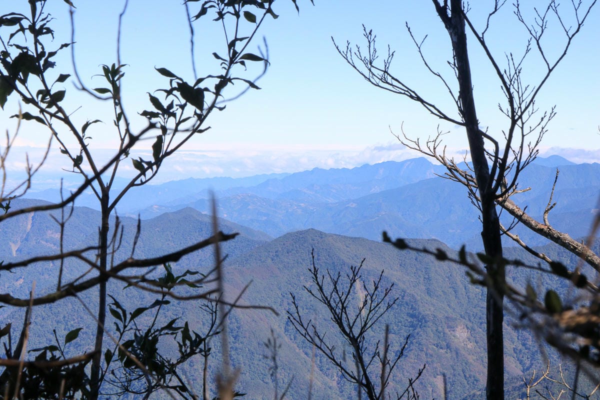 苗栗加里山 大坪登山口上加里山走杜鵑嶺下感想怎麼這麼遠啊