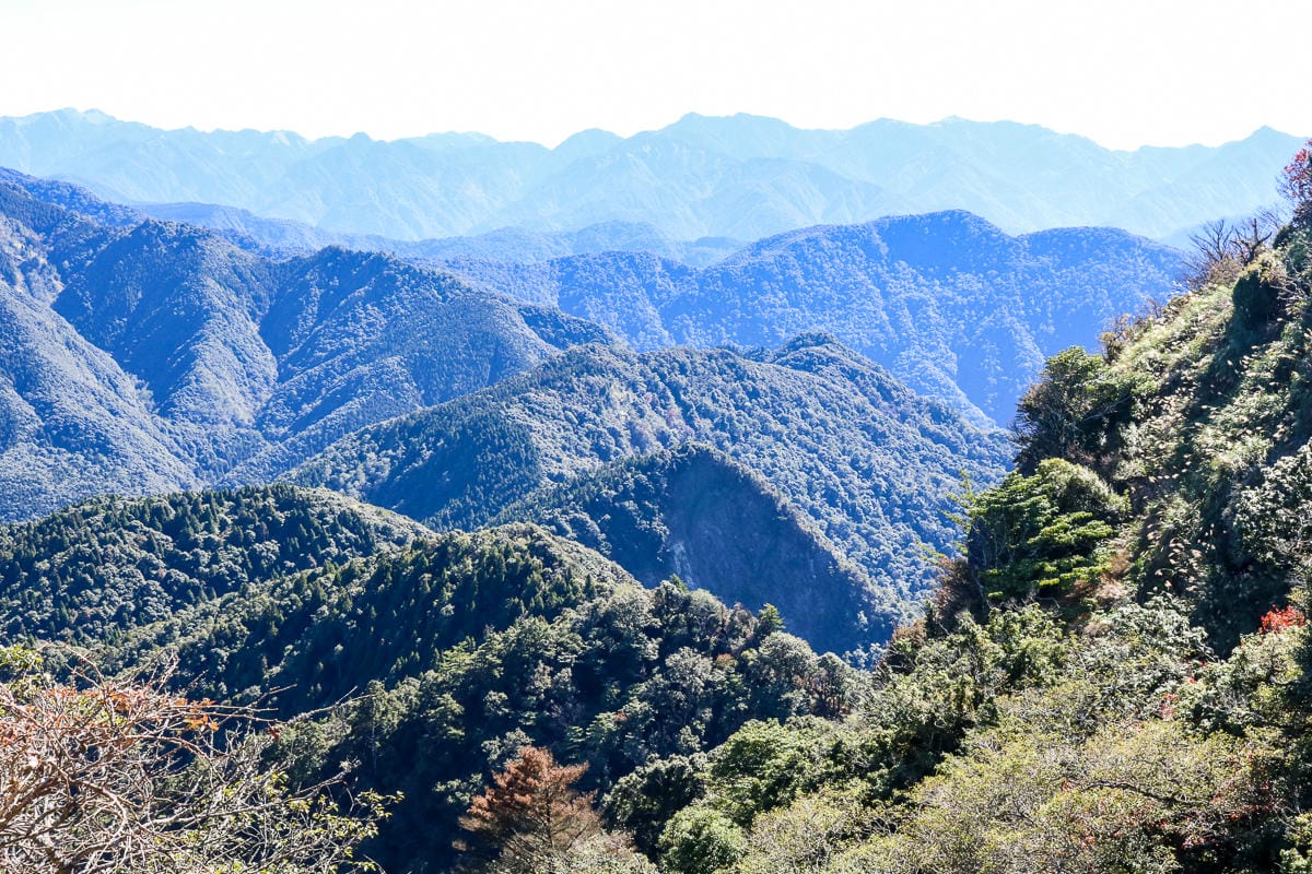 苗栗加里山 大坪登山口上加里山走杜鵑嶺下感想怎麼這麼遠啊