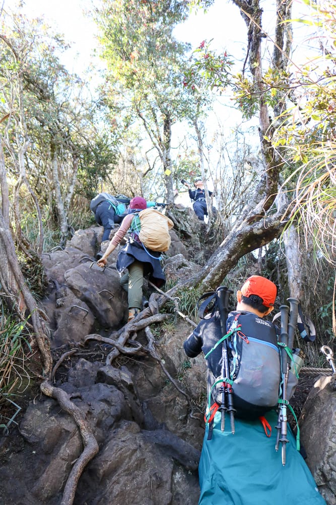 苗栗加里山 大坪登山口上加里山走杜鵑嶺下感想怎麼這麼遠啊