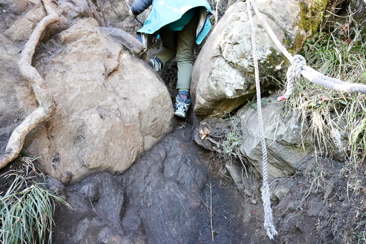 苗栗加里山 大坪登山口上加里山走杜鵑嶺下感想怎麼這麼遠啊