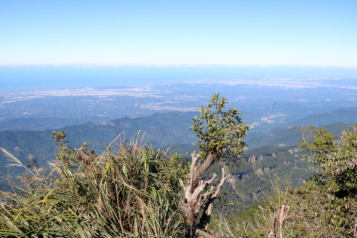 苗栗加里山 大坪登山口上加里山走杜鵑嶺下感想怎麼這麼遠啊