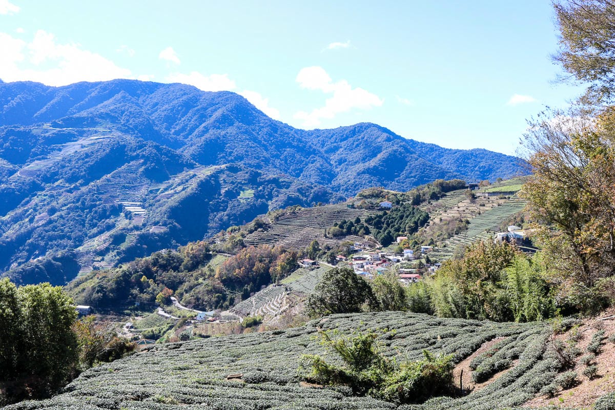 雲海溫泉 野營溫泉兩天爬到飽 南投秘境溯溪攀岩露營泡湯一次滿足
