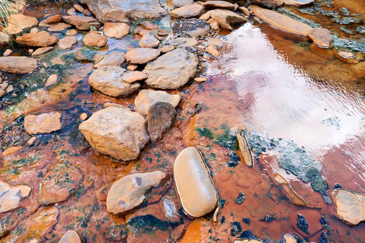 雲海溫泉 野營溫泉兩天爬到飽 南投秘境溯溪攀岩露營泡湯一次滿足