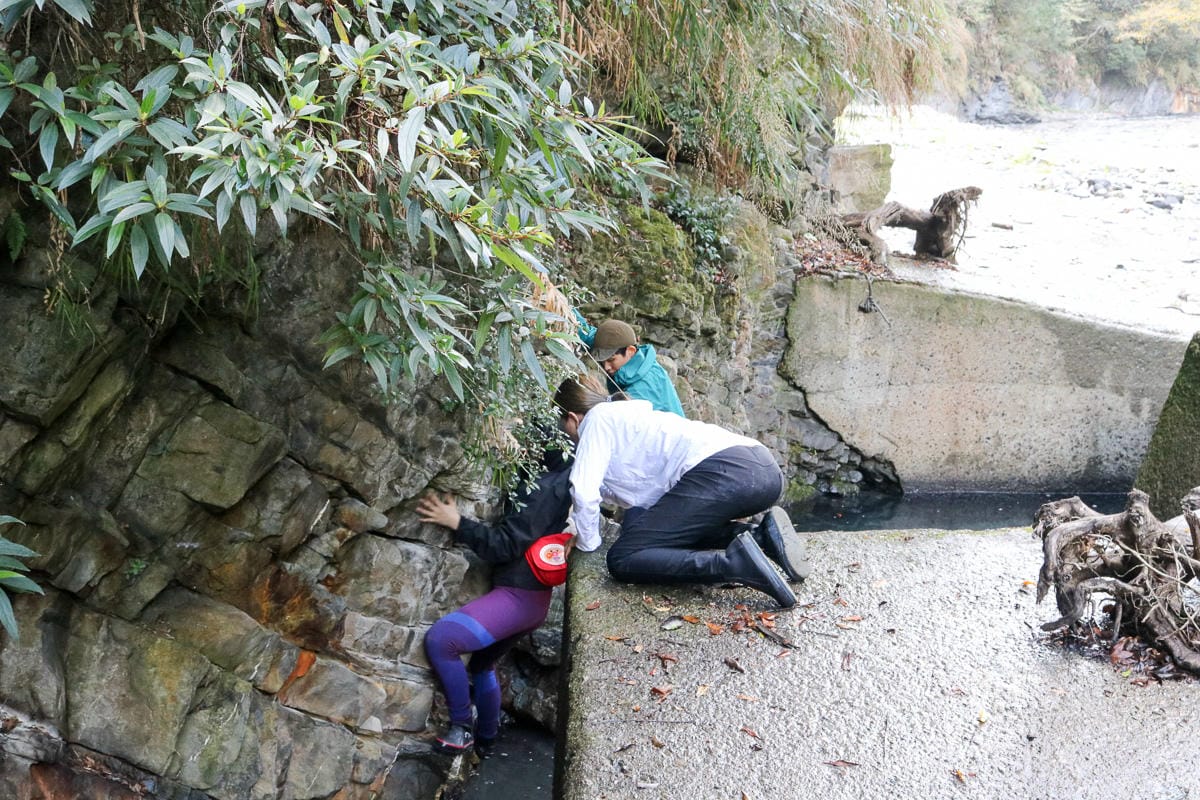 雲海溫泉 野營溫泉兩天爬到飽 南投秘境溯溪攀岩露營泡湯一次滿足