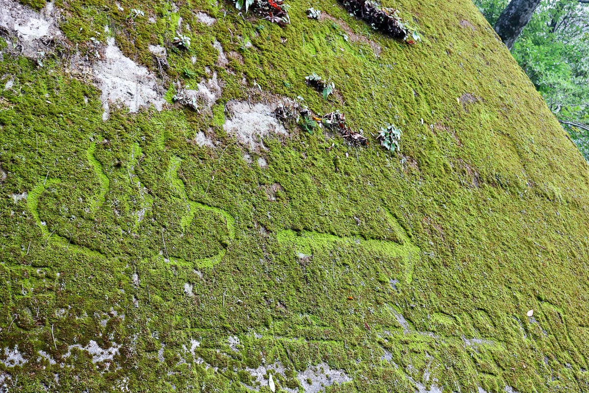 雲海溫泉 野營溫泉兩天爬到飽 南投秘境溯溪攀岩露營泡湯一次滿足